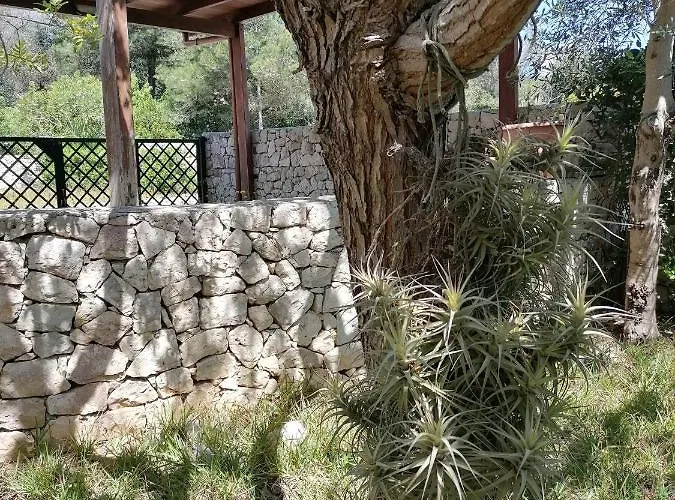 Σπίτι διακοπών Nena, Vista Mare *